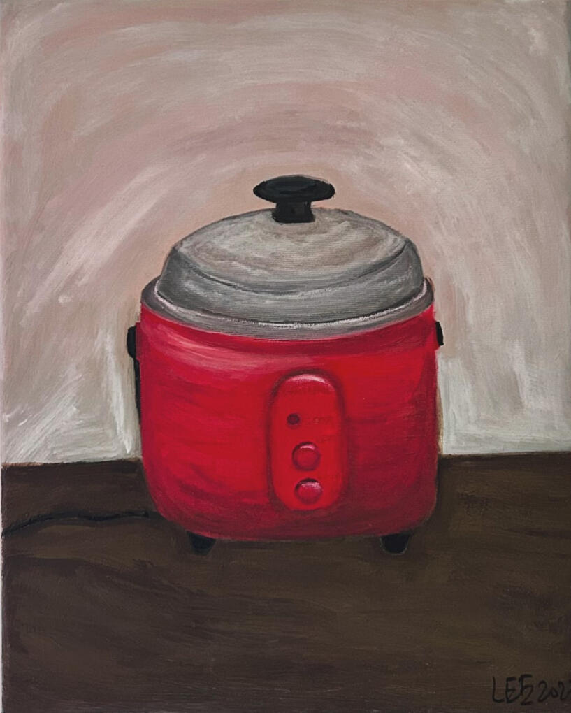 電鍋 rice cooker/40x33cm